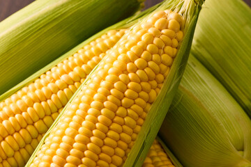 北海道産スイートコーン(とうもろこし)　Hokkaido Sweet Corn