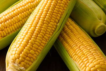 北海道産スイートコーン(とうもろこし)　Hokkaido Sweet Corn