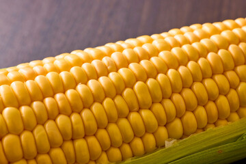 北海道産スイートコーン(とうもろこし)　Hokkaido Sweet Corn