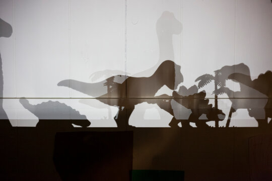 Shadows of Dinosaurs