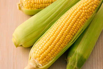 北海道産スイートコーン(とうもろこし)　Hokkaido Sweet Corn
