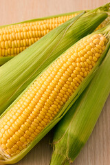 北海道産スイートコーン(とうもろこし)　Hokkaido Sweet Corn