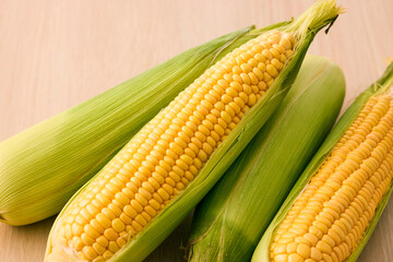 北海道産スイートコーン(とうもろこし)　Hokkaido Sweet Corn