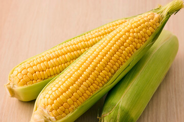 北海道産スイートコーン(とうもろこし)　Hokkaido Sweet Corn