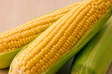 北海道産スイートコーン(とうもろこし)　Hokkaido Sweet Corn
