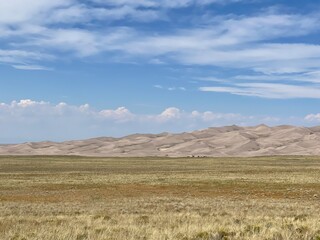 field with dunes in background