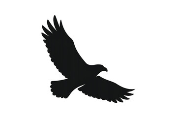 Obraz premium Majestic eagle soaring powerfully with wings spread wide, symbolizing freedom and strength in flight