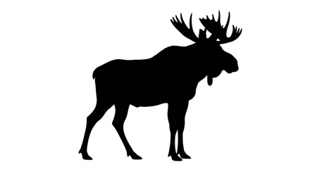 Majestic Moose Silhouette Standing on Isolated White Background