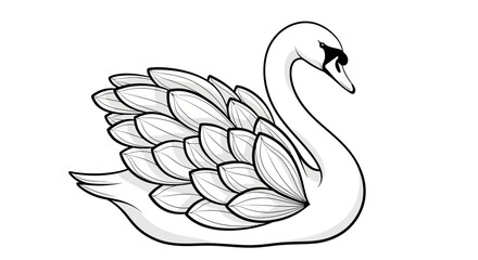 Graceful white swan head and neck with detailed feathers, isolated white background.