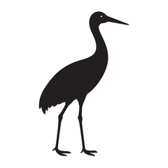 Obraz premium sandhill crane 2