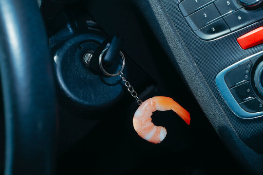 shrimp keychain dangles from a key inserted into the car ignition 