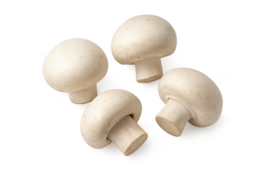 Four button mushrooms rotating on transparent background