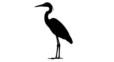 Obraz premium Elegant heron bird silhouette standing gracefully on an isolated white background.