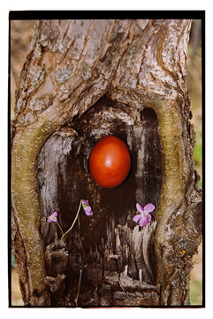 Easter egg