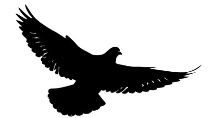 Majestic eagle in flight silhouette with outstretched wings, isolated white background.