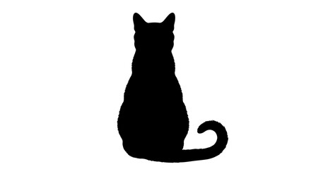Graceful Black Cat Silhouette Sitting on Isolated White Background