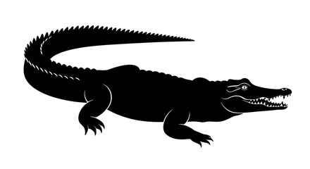 Dangerous Crocodile Silhouette Standing in Side View with Open Mouth on Isolated White Background