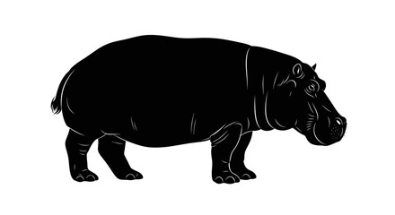 Large Hippopotamus Silhouette Standing in Side View on Isolated White Background