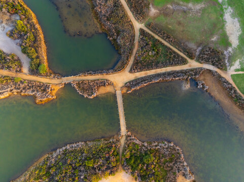 Walking tracks and bridges linking islands ain a coastal wetland