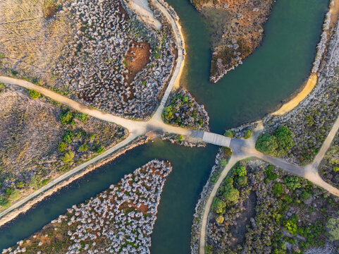 Walking tracks and bridges linking islands ain a coastal wetland
