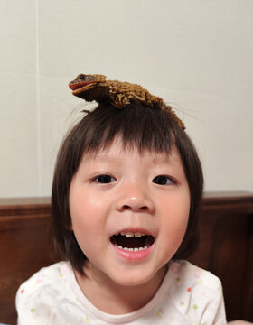 Child Joyfully Poses With a Pet Lizard Toyvon Their Head