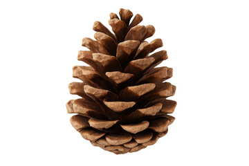 Fototapeta premium Single pine cone showing open scales on transparent background