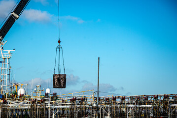 Crane lifting squid cargo pallet at Mar del Plata port