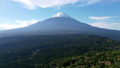 Fototapeta premium Snow capped mountain overlooking forest