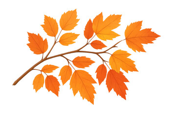 Obraz premium Branch with orange autumn leaves on transparent background