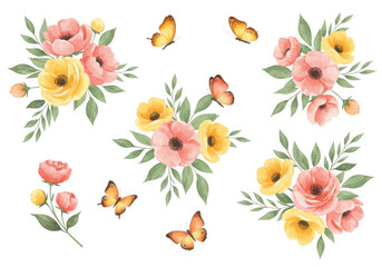 Floral beauty isolated on transparent background