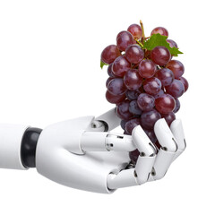 Robotic hand holding purple grapes isolated on black background representing technology and food