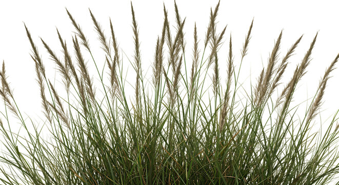 detailed professional high quality Black and Grey Wavy Line Against a Black Background