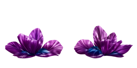 Two purple abstract flower petals on transparent background