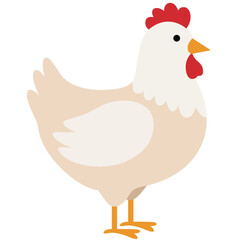  Simple flat illustration of a domestic chicken with white feathers, red comb, and standing pose on yellow legs.