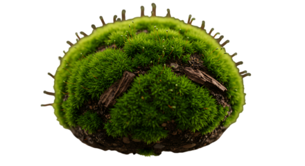 professional high quality A blob of white cream on a solid black background