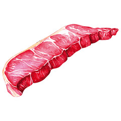 Watercolor Illustration of Juicy Skirt Steak on Transparant Background