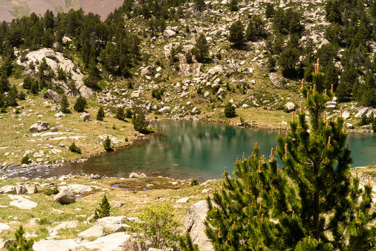 Blue Alpine Lake Landscape
