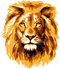Lion Head Vector Illustration – Detailed African Wildlife Art
