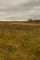 Obraz premium Elk Island National Park on a Cloudy Autumn Day