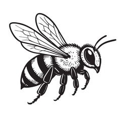 Black and white vector of a bee with strong black outline, ideal for branding, nature themed artwork, and creative insect inspired graphic designs.

