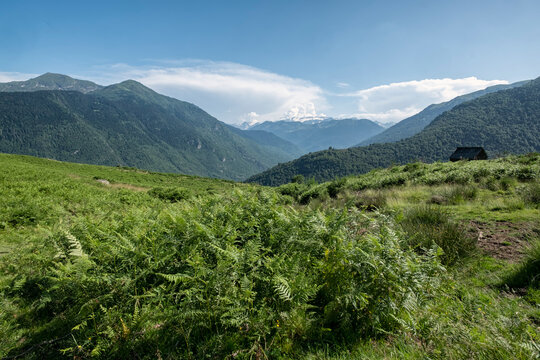 Green Pyrenean Mountain Landscape with Dense Vegetation