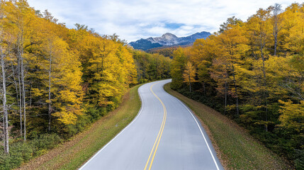 Winding road through vibrant autumn forest with mountains in background evokes tranquility