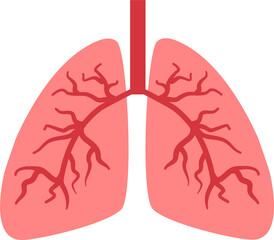 Paru-Paru or Lungs
