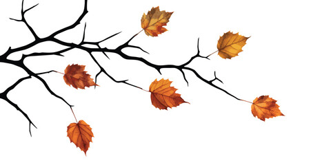 Fototapeta premium Autumn birch branch on a white background, vector illustration