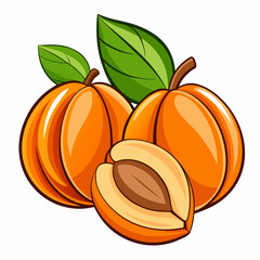 colorful illustration of an apricot kernels, isolated on white background