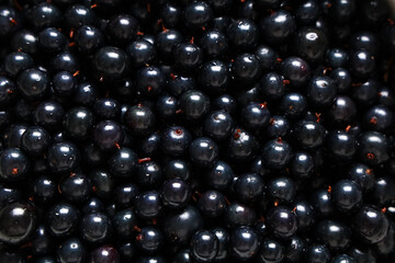 Texture of fresh black currants as background