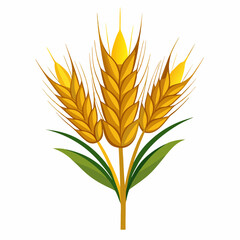 colorful illustration of a barley, isolated on white background