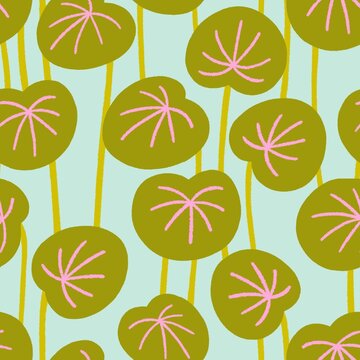 Playful Pilea