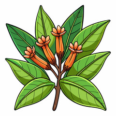 colorful illustration of a clove buds, isolated on white background