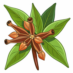 colorful illustration of a clove buds, isolated on white background